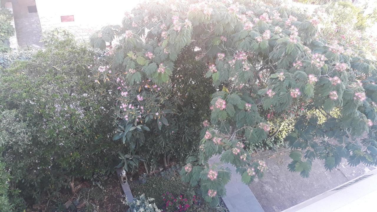 Apartments Suljic - Cash Only Property Stari Grad  Exterior photo